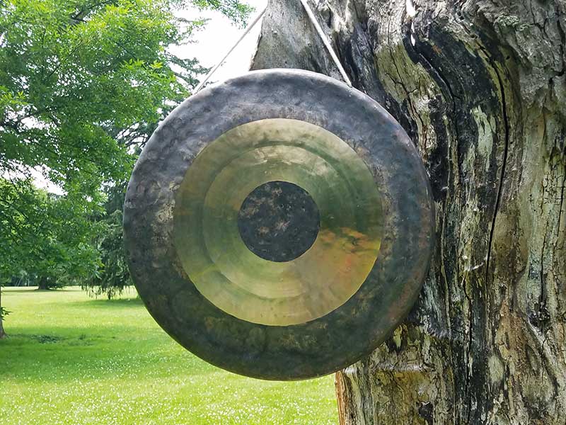 Om My Gong in the Park